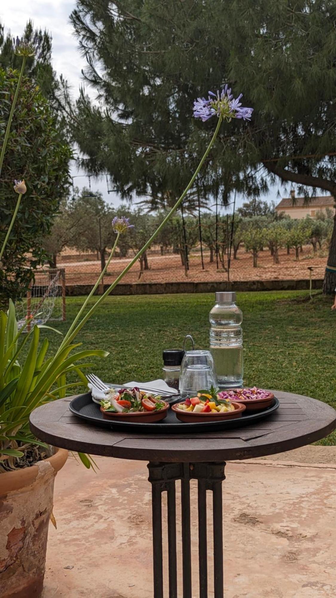 Agroturismo Finca Sant Blai カンポス エクステリア 写真