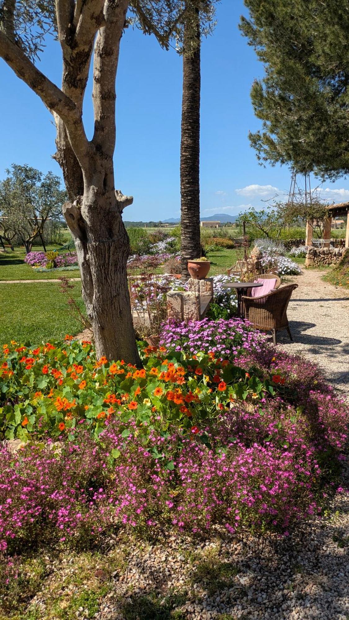 Agroturismo Finca Sant Blai カンポス エクステリア 写真