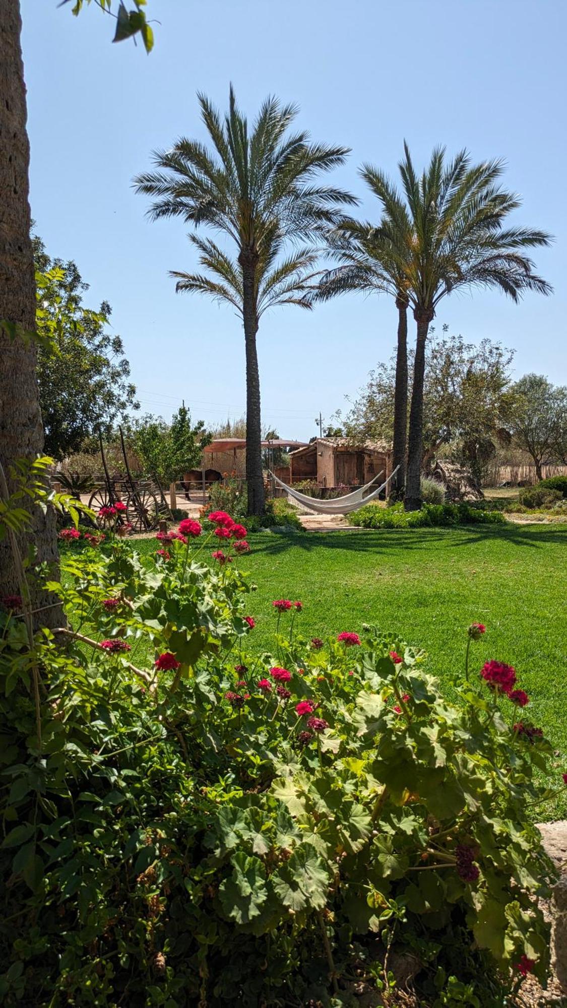 Agroturismo Finca Sant Blai カンポス エクステリア 写真