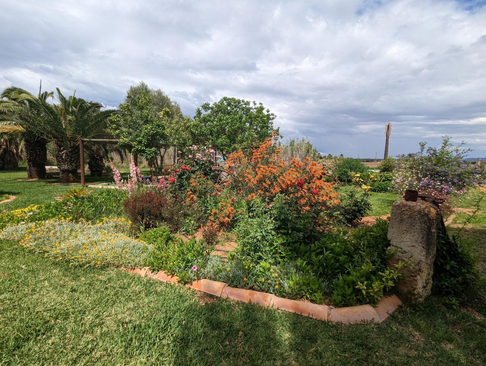 Agroturismo Finca Sant Blai カンポス エクステリア 写真