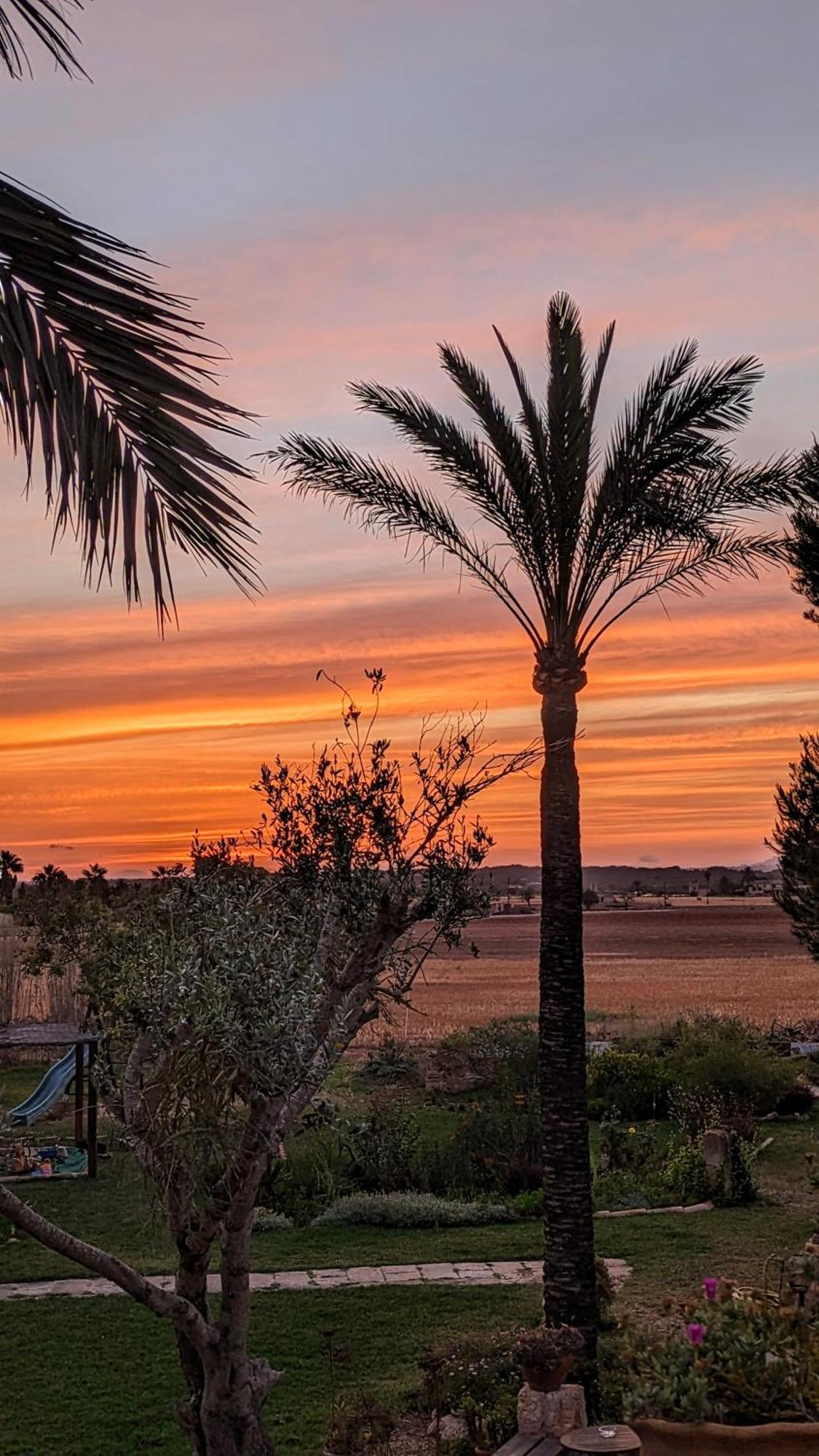 Agroturismo Finca Sant Blai カンポス エクステリア 写真