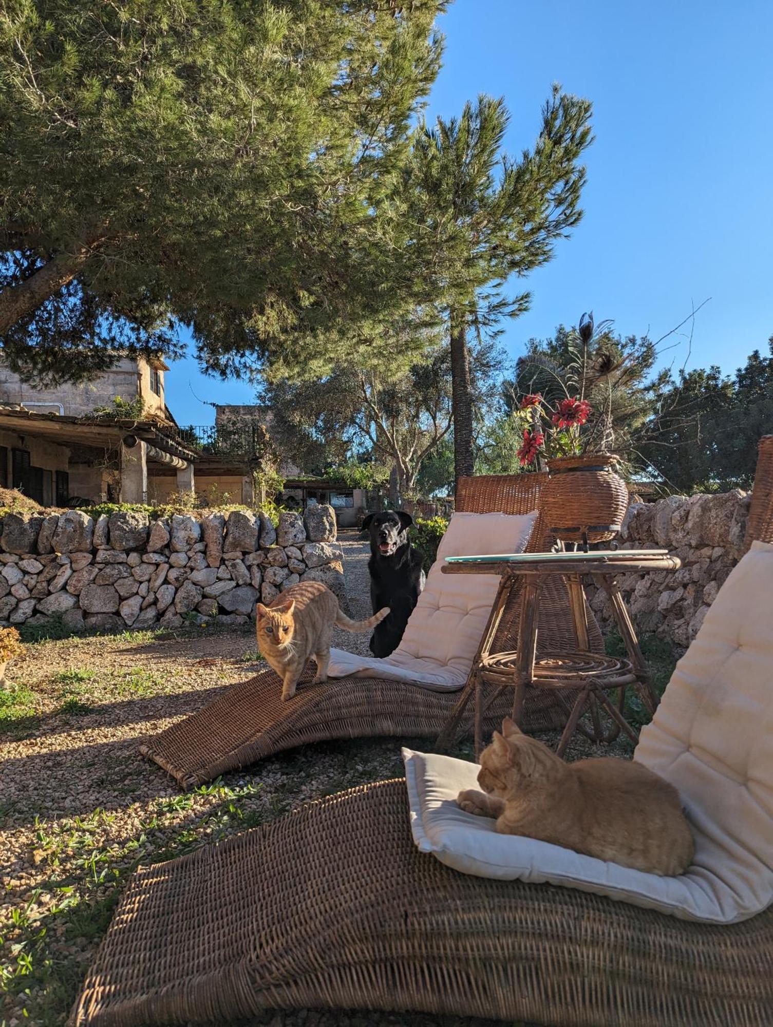 Agroturismo Finca Sant Blai カンポス エクステリア 写真