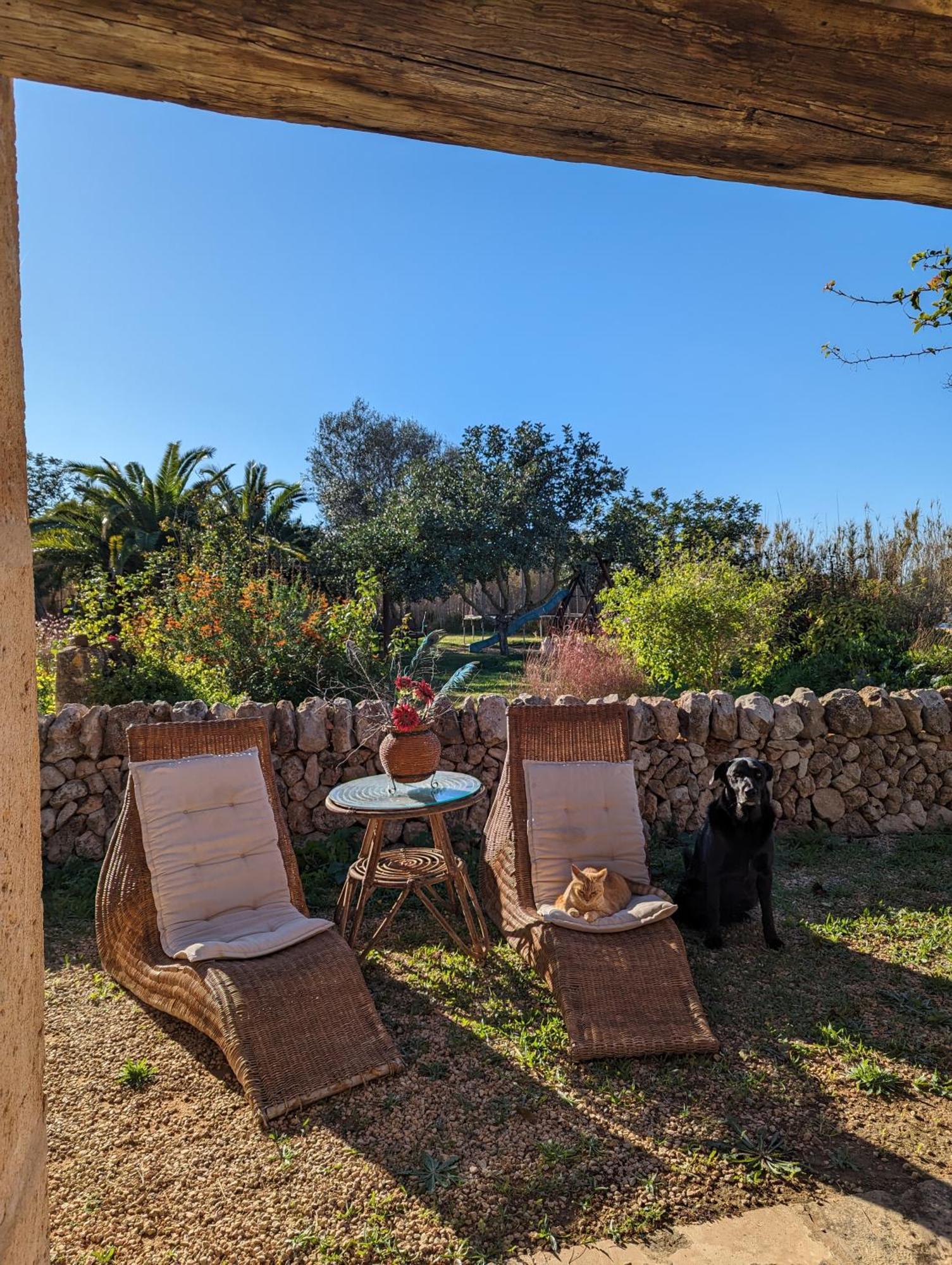 Agroturismo Finca Sant Blai カンポス エクステリア 写真